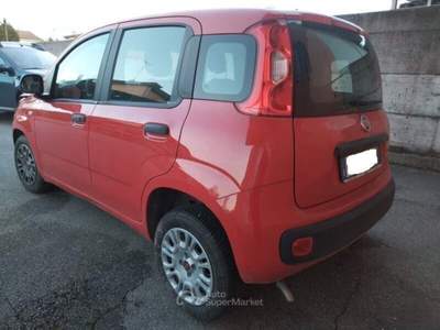Fiat Panda FireFly S&S Hybrid Rosso usata Ferrara
