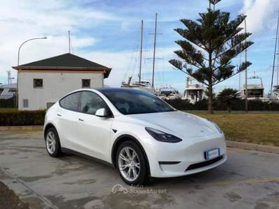 Tesla Model Y Long Range AWD Bianco usata Gallipoli