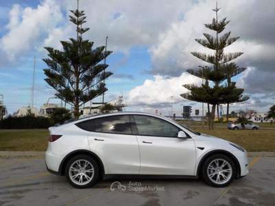 Tesla Model Y Long Range AWD Bianco usata Gallipoli