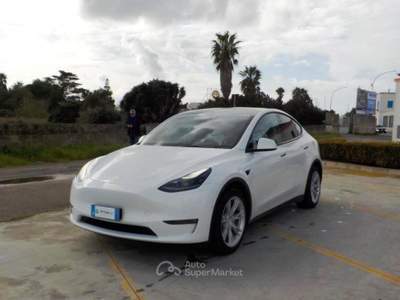 Tesla Model Y Long Range AWD Bianco usata Gallipoli