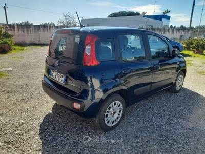 Fiat Panda 1.0 FireFly S&S Hybrid Blu/Azzurro usata Caprarica di Lecce