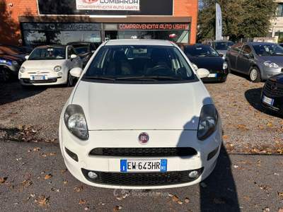 Fiat Punto Punto III 2014 5p 1.3 mjt II 16v Street eco s Bianco usata Inzago