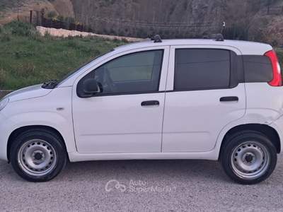Fiat Panda Natural Power Van 2 posti Benzina/Metano Bianco usata Cassano delle Murge