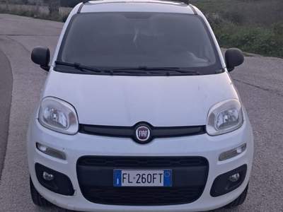Fiat Panda Natural Power Van 2 posti Benzina/Metano Bianco usata Cassano delle Murge