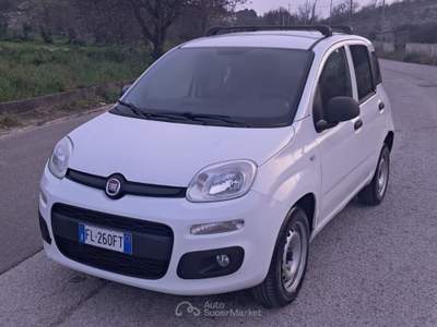 Fiat Panda Natural Power Van 2 posti Benzina/Metano Bianco usata Cassano delle Murge