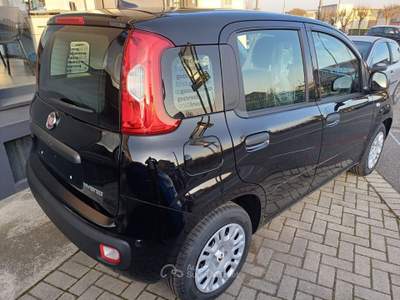 Fiat Panda Pandina 1.0 FireFly 65 CV Hybrid Icon Nero usata CASELETTE