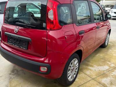 Fiat Panda fiat panda 1.2 benz 69 cv  km certificati in fattura Beige usata Trentola Ducenta