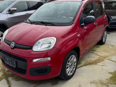 Fiat Panda fiat panda 1.2 benz 69 cv  km certificati in fattura Beige usata Trentola Ducenta