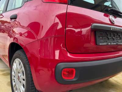 Fiat Panda fiat panda 1.2 benz 69 cv  km certificati in fattura Beige usata Trentola Ducenta