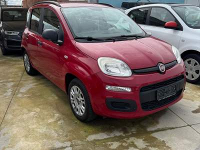 Fiat Panda fiat panda 1.2 benz 69 cv  km certificati in fattura Beige usata Trentola Ducenta