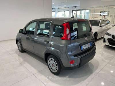 Fiat Panda 1.0 FireFly S&S Hybrid Sensori di parcheggio Grigio usata Asolo