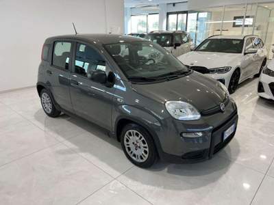 Fiat Panda 1.0 FireFly S&S Hybrid Sensori di parcheggio Grigio usata Asolo