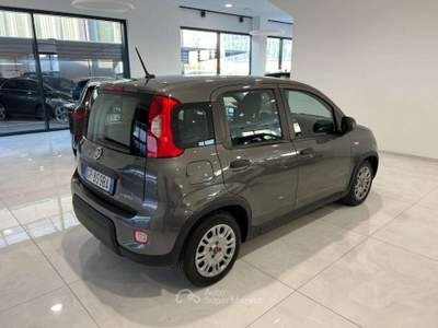 Fiat Panda 1.0 FireFly S&S Hybrid Sensori di parcheggio Grigio usata Asolo