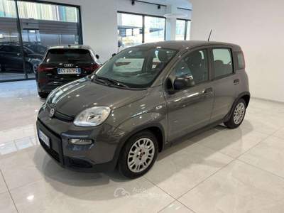 Fiat Panda 1.0 FireFly S&S Hybrid Sensori di parcheggio Grigio usata Asolo