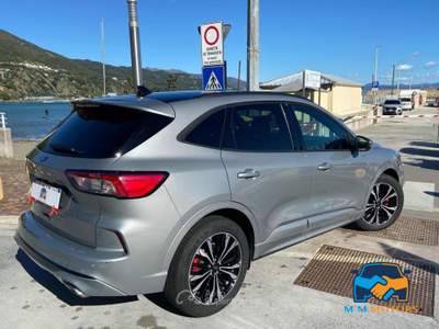 Ford Kuga 2.0 ecoblue ST-Line 2wd 120cv auto Lilla usata Genova