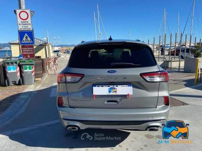 Ford Kuga 2.0 ecoblue ST-Line 2wd 120cv auto Lilla usata Genova