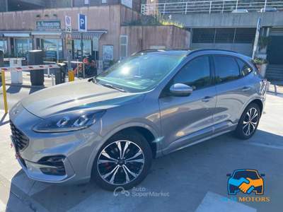 Ford Kuga 2.0 ecoblue ST-Line 2wd 120cv auto Lilla usata Genova