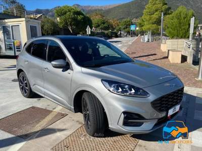 Ford Kuga 2.0 ecoblue ST-Line 2wd 120cv auto Lilla usata Genova