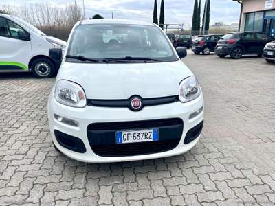 Fiat Panda Panda 1.0 FireFly S&S Hybrid Bianco usata Sesto Fiorentino