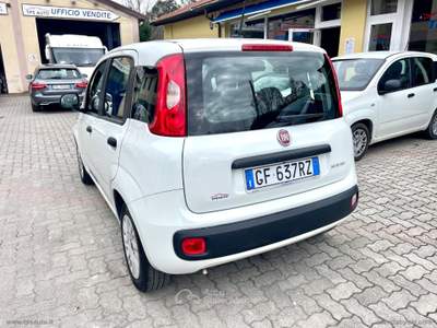 Fiat Panda Panda 1.0 FireFly S&S Hybrid Bianco usata Sesto Fiorentino