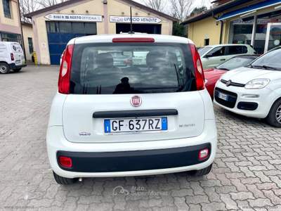Fiat Panda Panda 1.0 FireFly S&S Hybrid Bianco usata Sesto Fiorentino