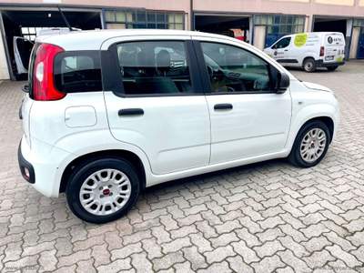 Fiat Panda Panda 1.0 FireFly S&S Hybrid Bianco usata Sesto Fiorentino