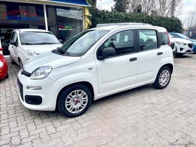 Fiat Panda Panda 1.0 FireFly S&S Hybrid Bianco usata Sesto Fiorentino