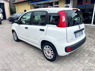 Fiat Panda Panda 1.0 FireFly S&S Hybrid Bianco usata Sesto Fiorentino