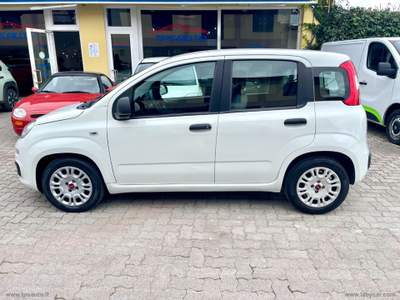 Fiat Panda Panda 1.0 FireFly S&S Hybrid Bianco usata Sesto Fiorentino