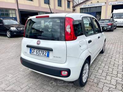 Fiat Panda Panda 1.0 FireFly S&S Hybrid Bianco usata Sesto Fiorentino
