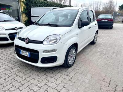 Fiat Panda Panda 1.0 FireFly S&S Hybrid Bianco usata Sesto Fiorentino