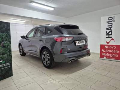 Ford Kuga 2.0 ecoblue ST-Line X awd 150cv auto usata Messina