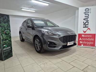 Ford Kuga 2.0 ecoblue ST-Line X awd 150cv auto usata Messina