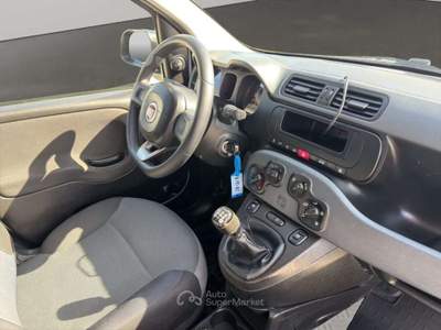 Fiat Panda 1.3MJT VAN 2POSTI Bianco usata San Miniato