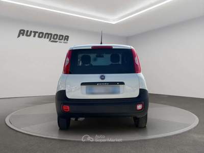 Fiat Panda 1.3MJT VAN 2POSTI Bianco usata San Miniato