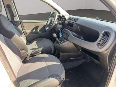 Fiat Panda 1.3MJT VAN 2POSTI Bianco usata San Miniato
