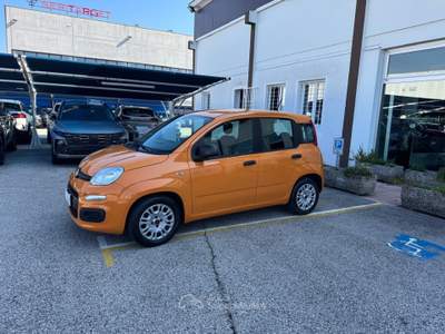 Fiat Panda Panda 1.0 FireFly S&S Hybrid Easy Arancione usata Veggiano