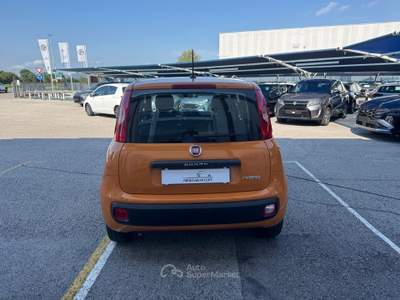 Fiat Panda Panda 1.0 FireFly S&S Hybrid Easy Arancione usata Veggiano