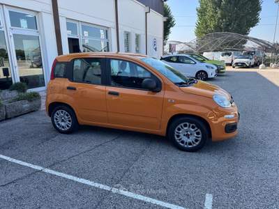 Fiat Panda Panda 1.0 FireFly S&S Hybrid Easy Arancione usata Veggiano