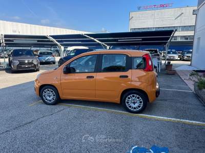 Fiat Panda Panda 1.0 FireFly S&S Hybrid Easy Arancione usata Veggiano