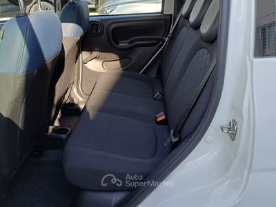 Fiat Panda Panda Cross 1.0 FireFly S&S Hybrid Bianco usata Veggiano