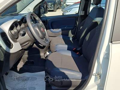 Fiat Panda Panda Cross 1.0 FireFly S&S Hybrid Bianco usata Veggiano