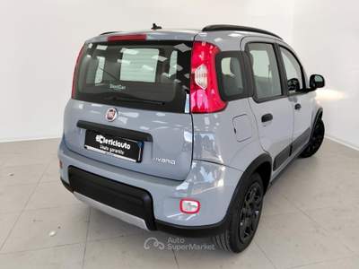 Fiat Panda 1.0 FireFly S&S Hybrid Red Grigio usata Lurate Caccivio