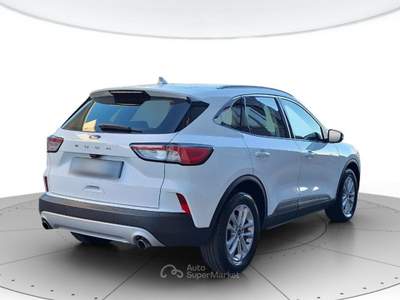 Ford Kuga Kuga 1.5 ecoblue titanium business 2wd 120cv auto Bianco usata San Vendemiano