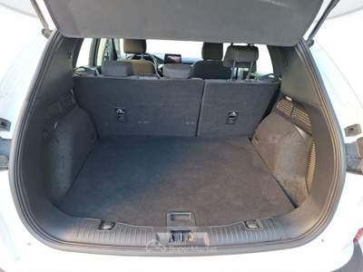 Ford Kuga Kuga 1.5 ecoblue titanium business 2wd 120cv auto Bianco usata San Vendemiano