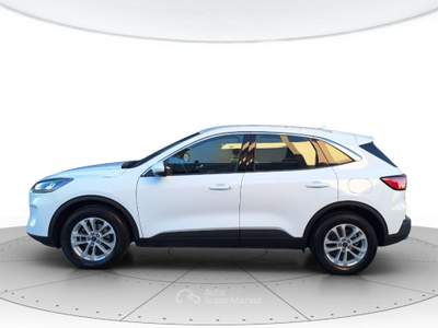 Ford Kuga Kuga 1.5 ecoblue titanium business 2wd 120cv auto Bianco usata San Vendemiano