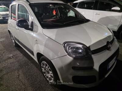 Fiat Panda Lounge usata Roma