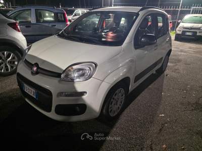 Fiat Panda Lounge usata Roma