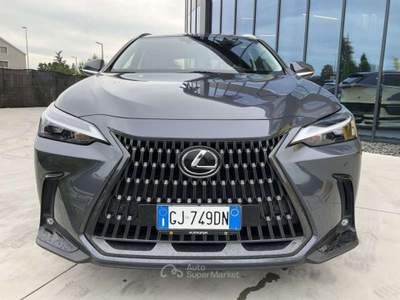 Lexus NX 309cv Grigio usata Pieve di Cento