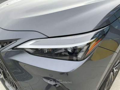 Lexus NX 309cv Grigio usata Pieve di Cento